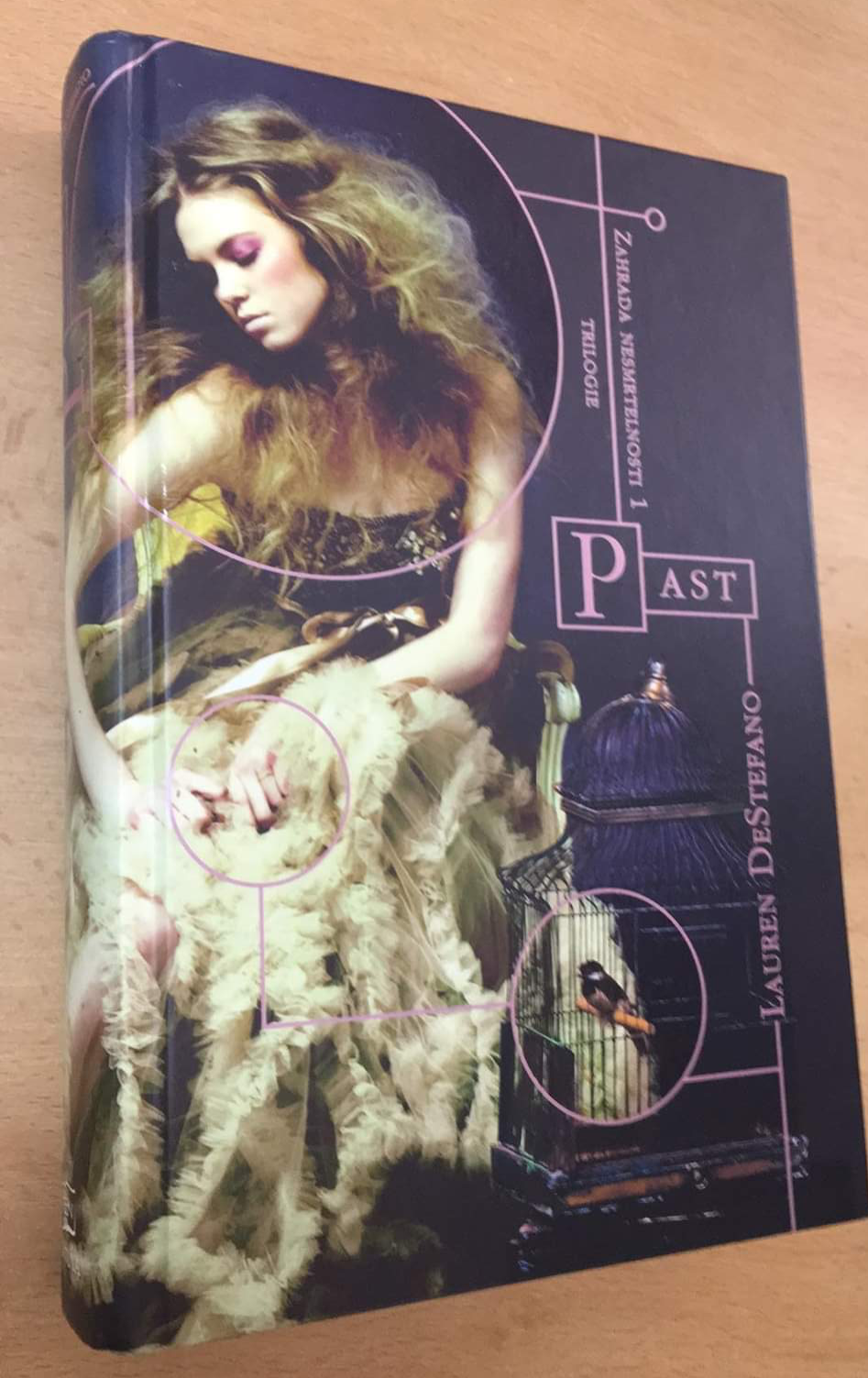 Lauren Destefano - Past