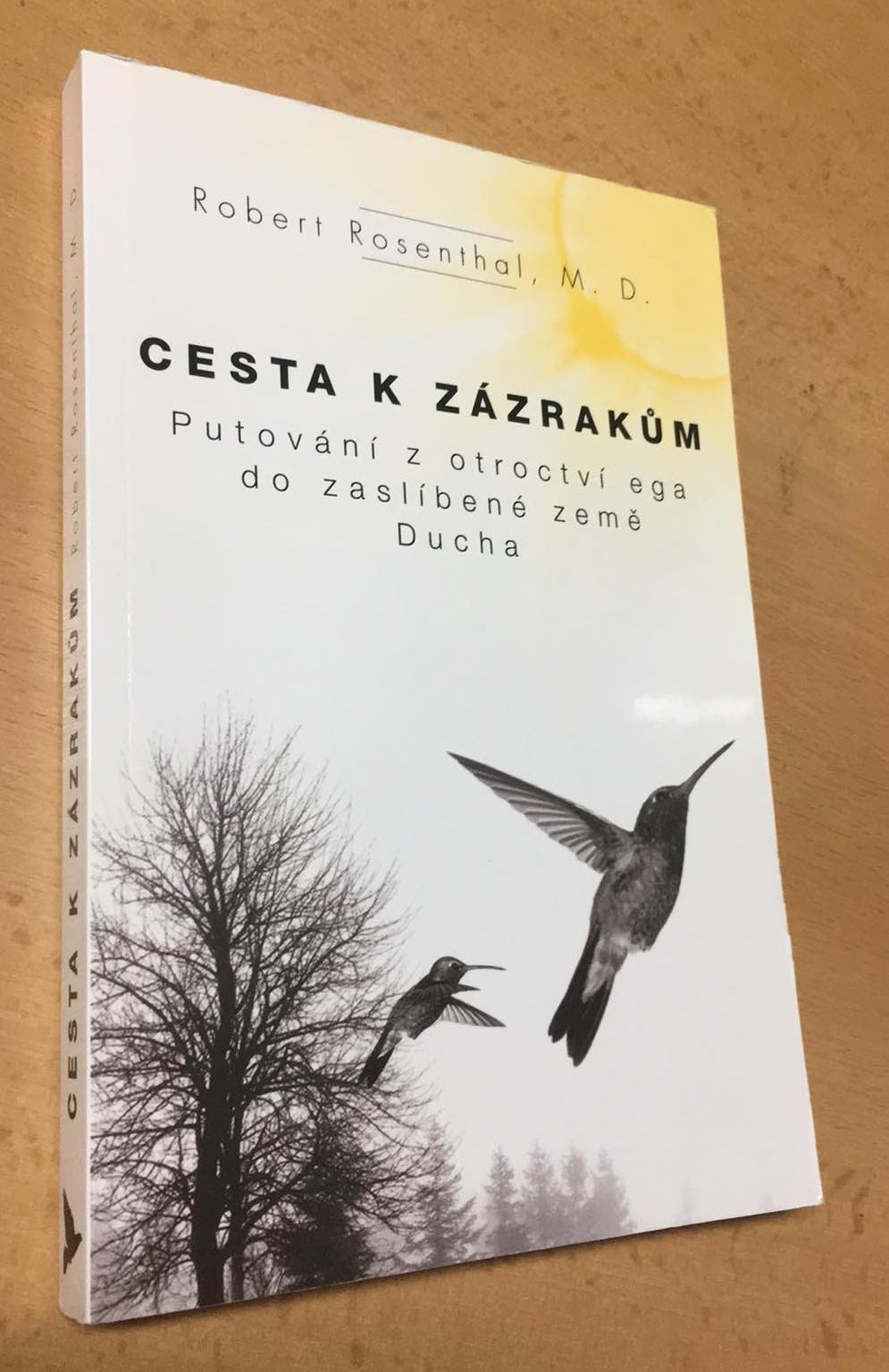 Robert Rosenthal - Cesta k zázrakům