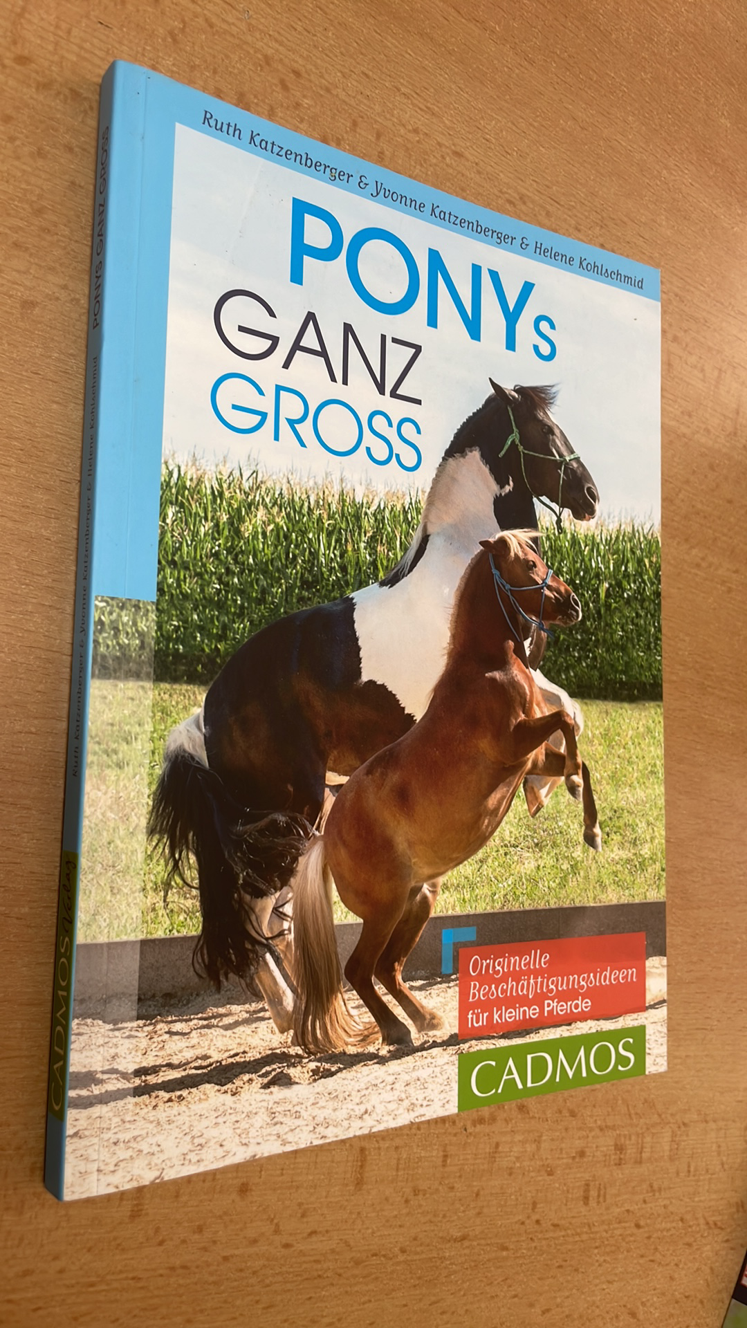 Ponys ganz groß (německy)