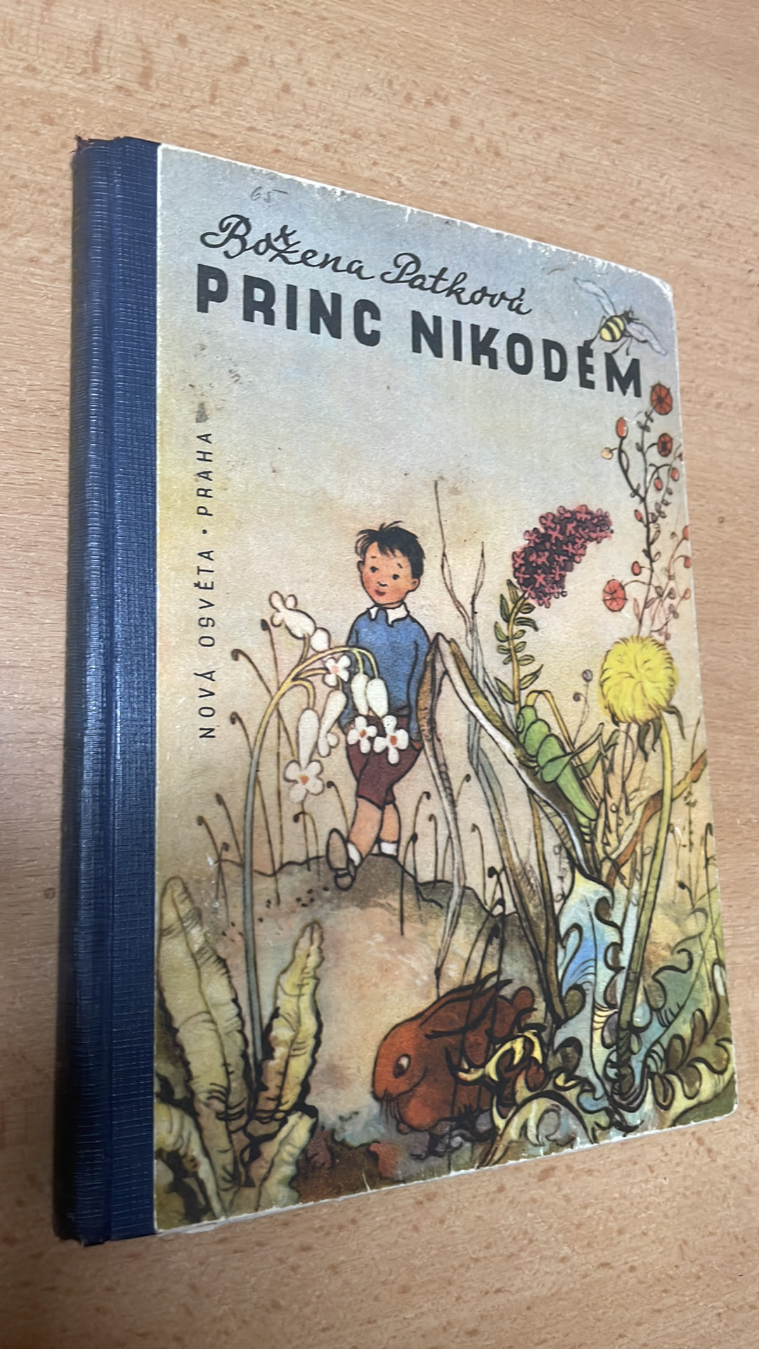 BOŽENA PATKOVÁ - PRINC NIKODÉM