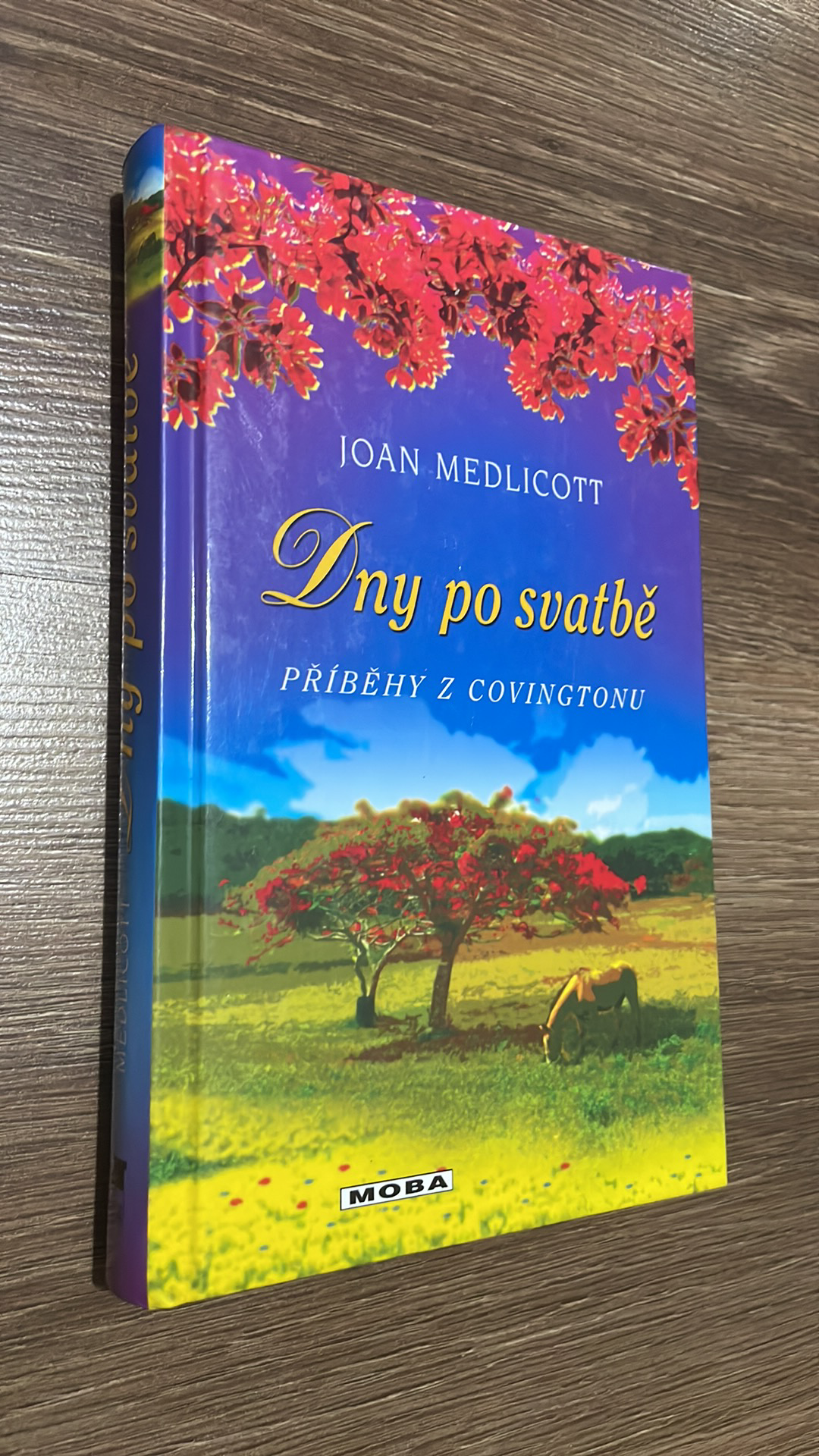 JOAN MEDLICOTT - DNY PO SVATBĚ