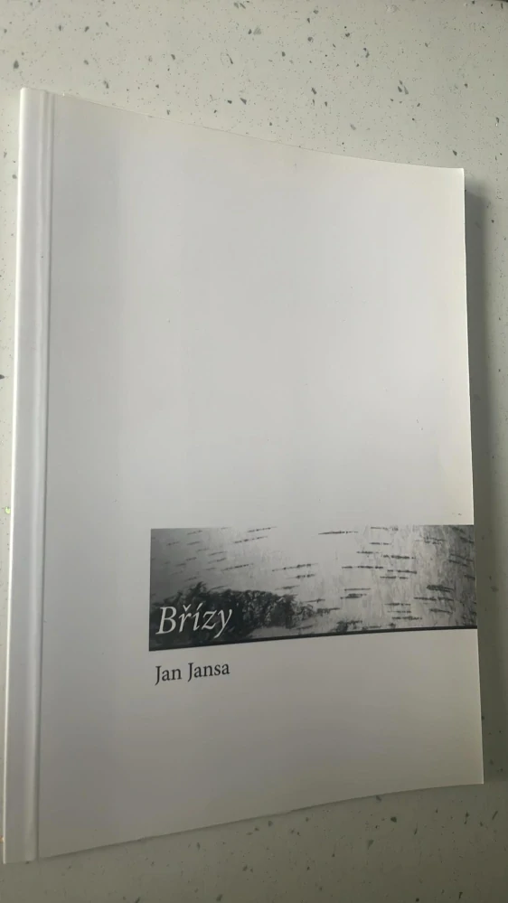 Jan Jansa : Břízy