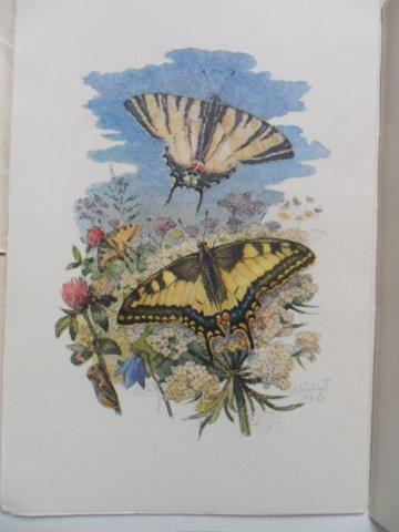 PETR BEZRUČ - STUŽKONOSKA MODRÁ