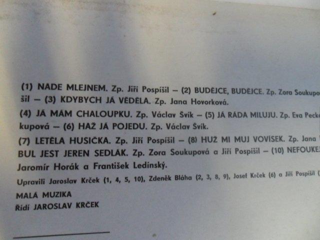 HRAJÍ A ZPÍVAJÍ PLZAŇÁCI