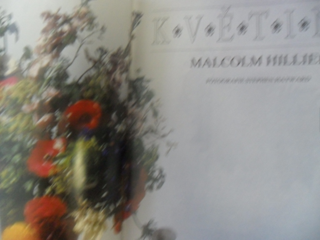 MALCOLM HILLIER - KVĚTINY