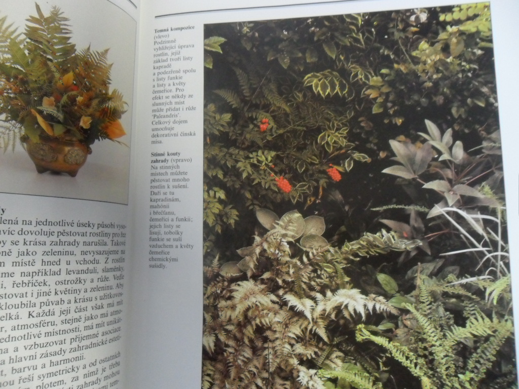 MALCOLM HILLIER, COLIN HILTON - SUŠENÉ- KVĚTINY