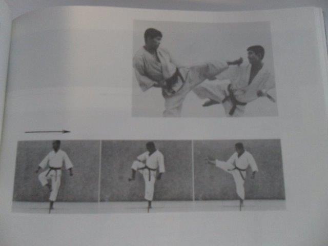 MASATOŠI NAKAJAMA - DYNAMICKÉ KARATE