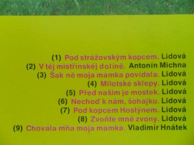 LP DESKA - MISTŘÍBRŇANKA / POD STRÁŽOVSKÝM KOPCEM