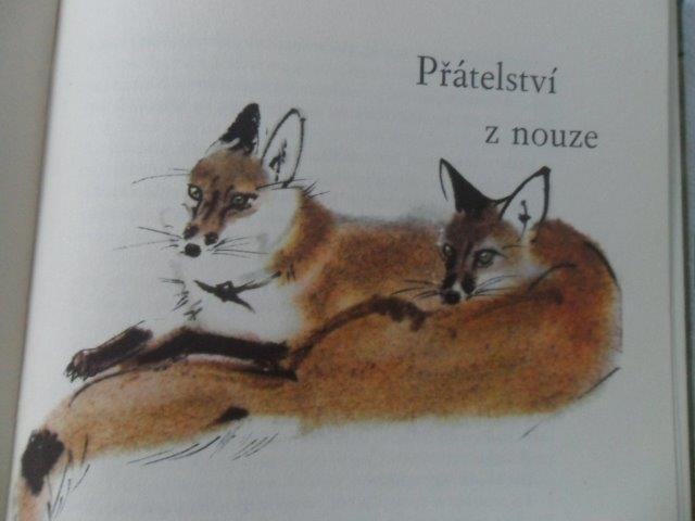 KAREL NOVÝ - POTULNÝ LOVEC