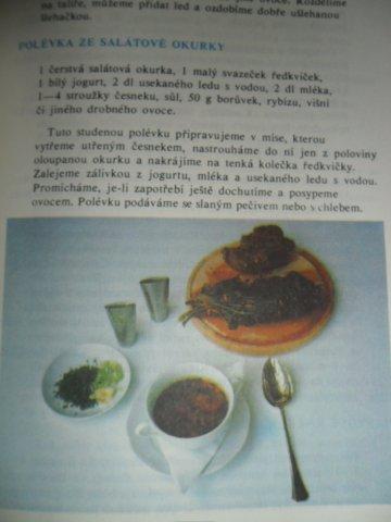 KAREL ŠEDA - RECEPTY S VŮNI BYLINEK