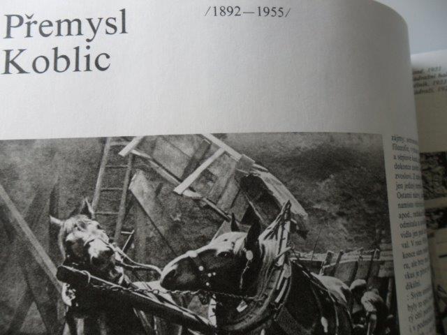 DANIELA MRÁZKOVÁ, VLADIMÍR REMEŠ - CESTY FOTOGRAFIE