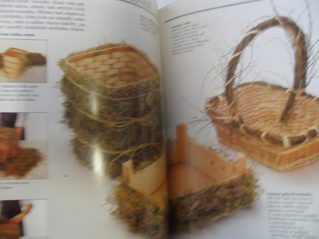 MALCOLM HILLIER, COLIN HILTON - SUŠENÉ- KVĚTINY