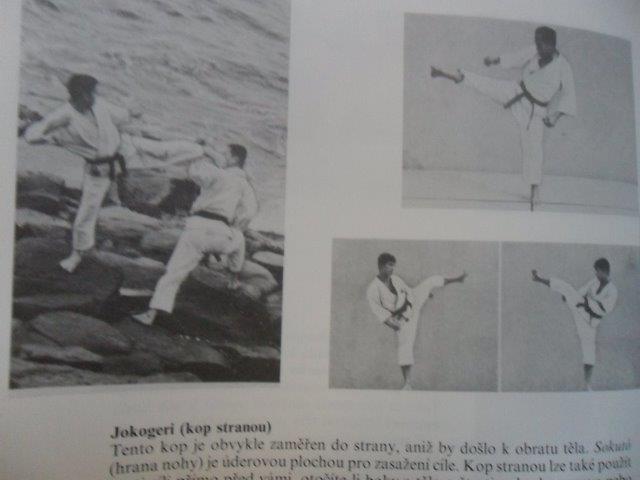 MASATOŠI NAKAJAMA - DYNAMICKÉ KARATE