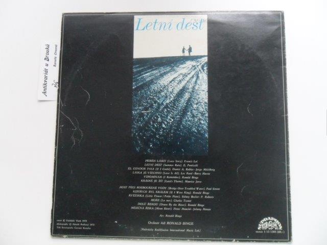 LP DESKA - LETNÍ DÉŠŤ