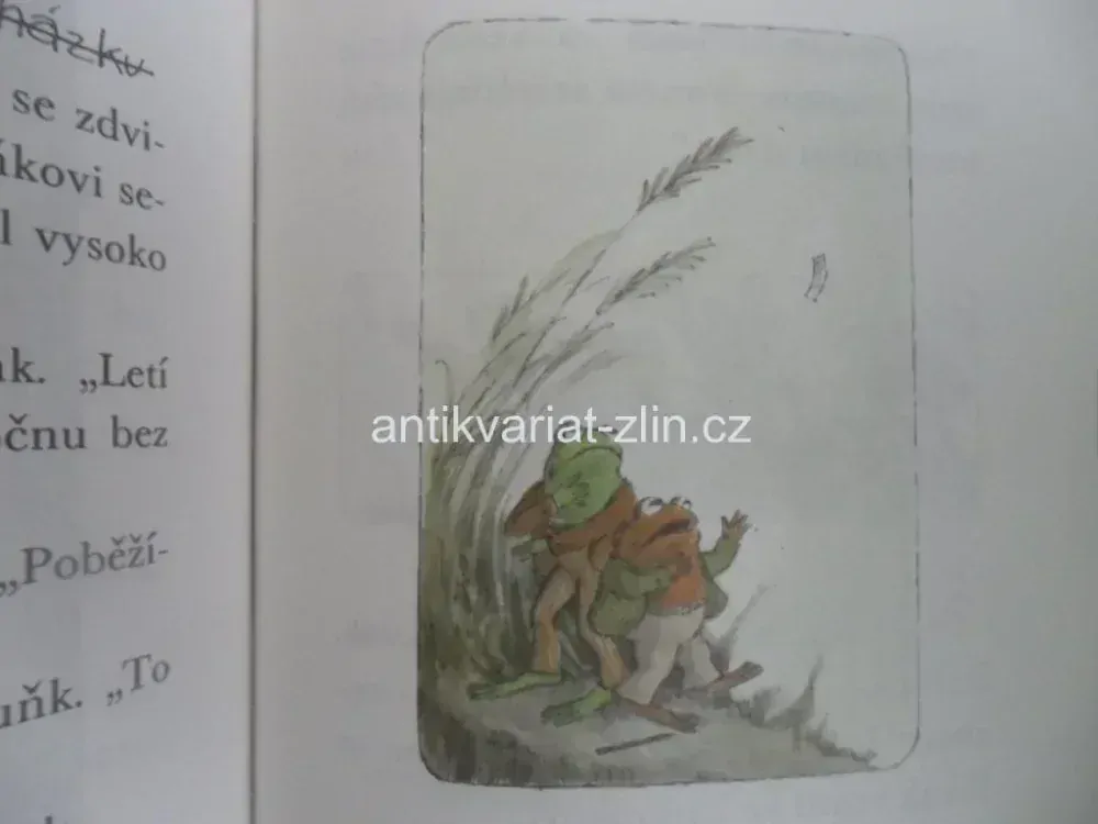 ARNOLD LOBEL - KVAK A ŽBLUŇK  JSOU KAMARÁDI