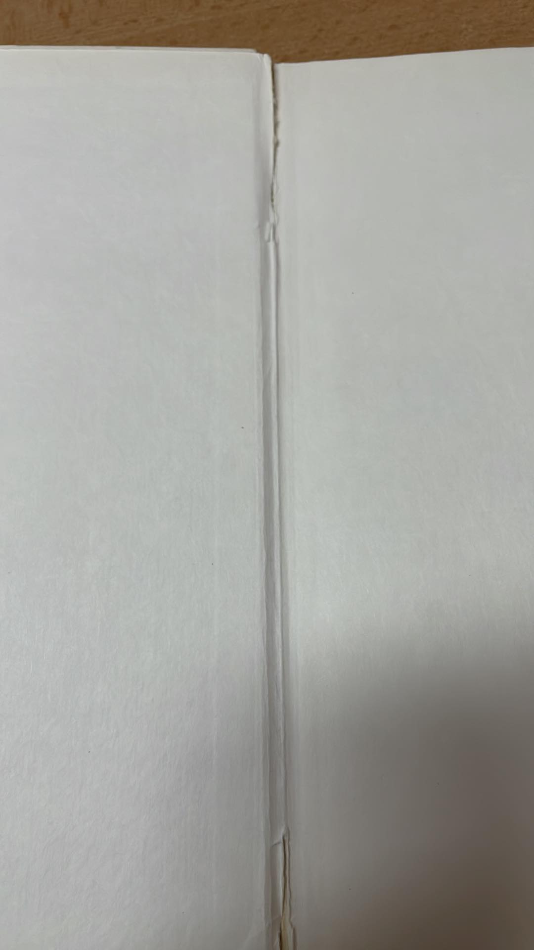 J. NEORALOVÁ, J. DOSTAL, O. PAVLOVSKÁ - MLADÍ MUZIKANTI