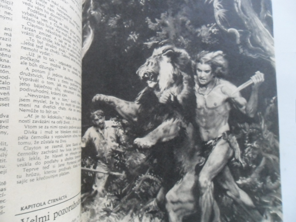 EDGAR RICE BURROUGHS - TARZAN (SYN DIVOČINY)