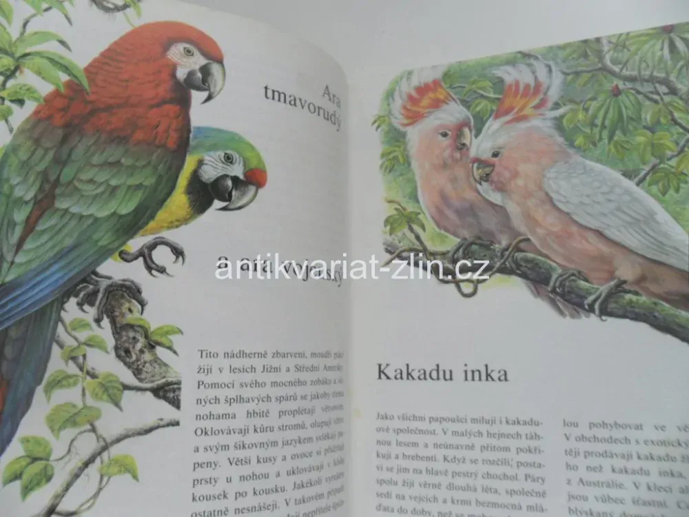 E. W. BAUER - MŮJ BAREVNÝ ATLAS ZVÍŘAT