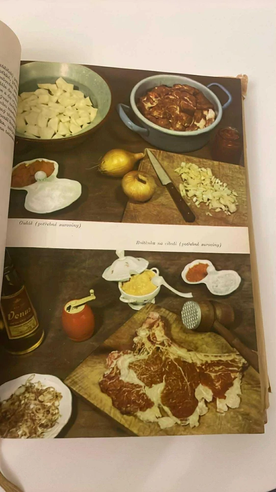 ELEK MAGYAR - KUCHAŘSKÁ KNIHA  LABUŽNÍK 