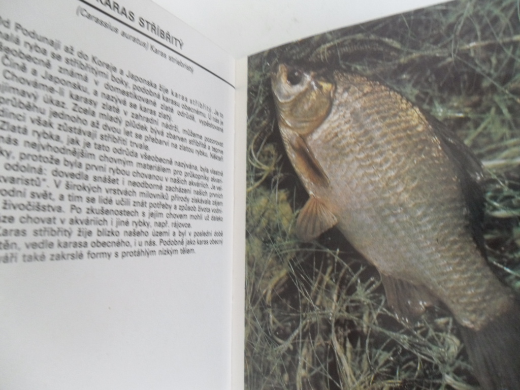 KAPESNÍ ATLAS (ATLAS OBOJŽÍVELNÍKŮ A PLAZŮ)