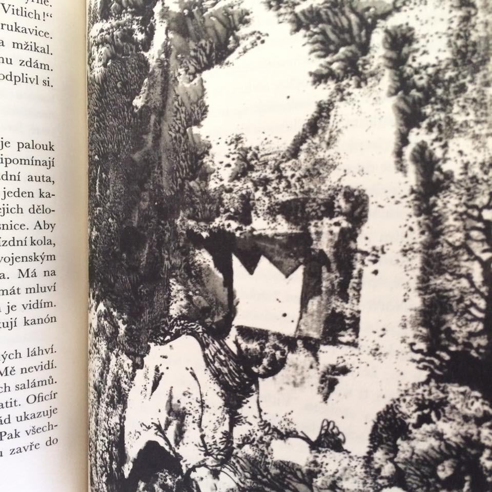 JAN PROCHÁZKA - AŤ ŽIJE REPUBLIKA (ILUSTRACE - JIŘÍ TRNKA)