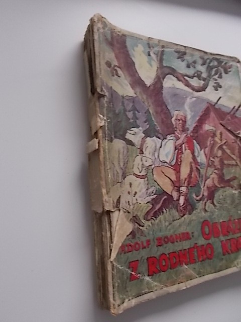 A. BOGNER - Obrázky z rodného kraja sédum špásovitých povjédaček z valaského
