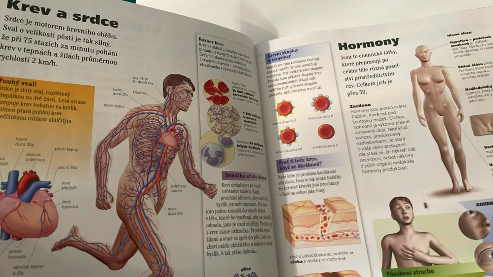 ISABELLE BOUILLOT-JAUGEY OVÁ - LIDSKÉ TĚLO