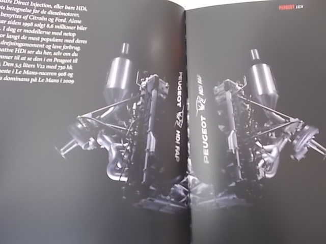 CHRISTIAN FROST - PEUGEOT