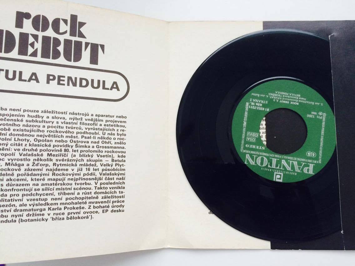 SP BETULA PENDULA - ROCK DEBUT 3