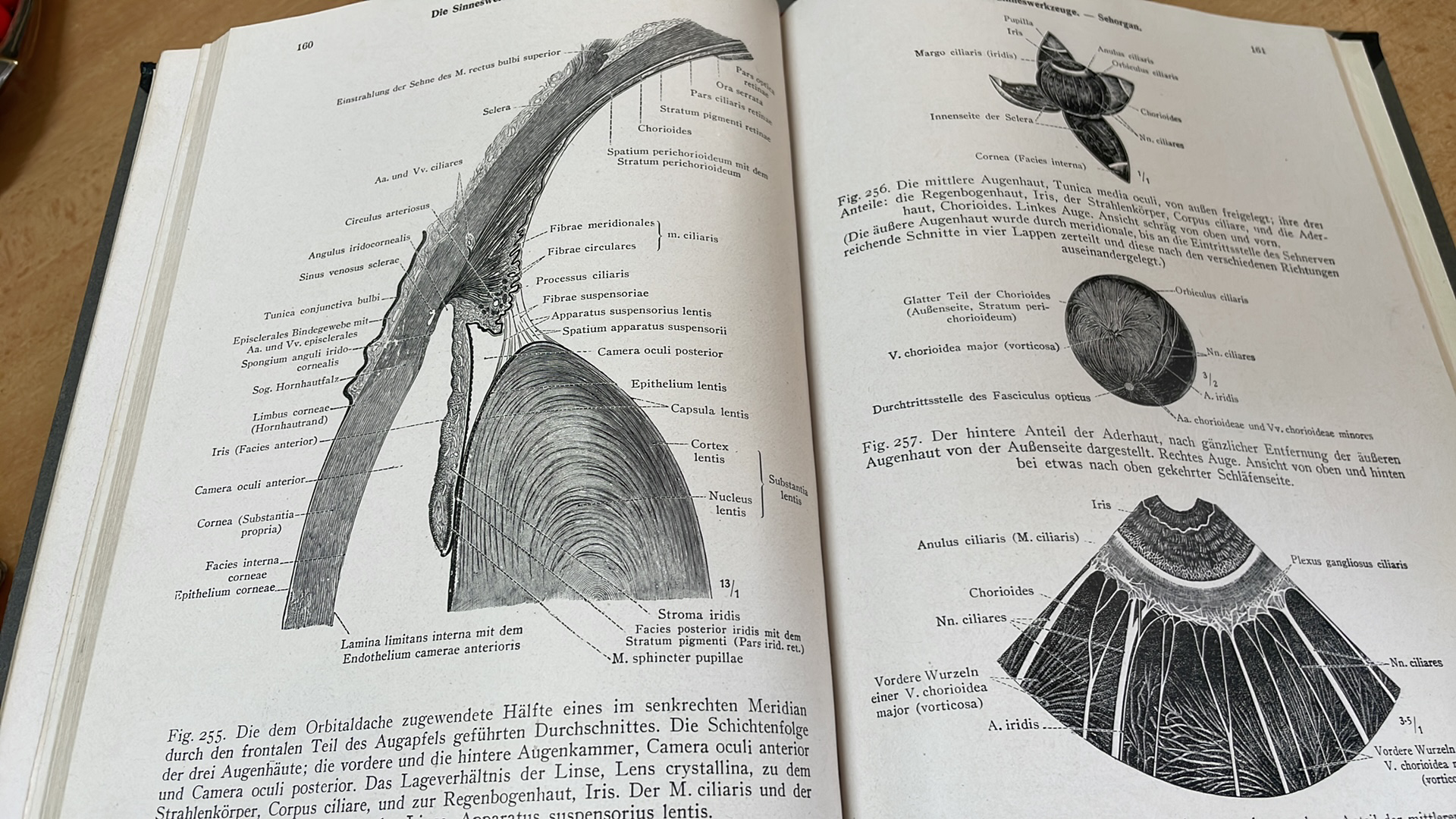 Toldtův anatomický atlas pro studující a lékaře