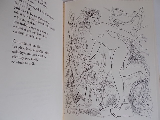 FRÁŇA ŠRÁMEK - SPLAV