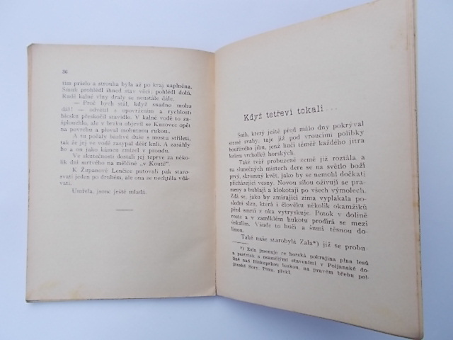 PŘÍTEL DOMOVINY - MARTIN KRUŽINA (DOKONČENÍ), MEZI HORAMI A LIDMI