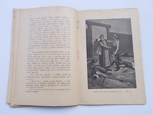 LEVNÁ ILUSTROVANÁ KNIHOVNA - RODINA POLANIECKÝCH, KIRDŽALI