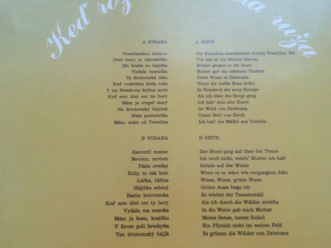 LP KEĎ ROZKVITNE BIELA RUŽA