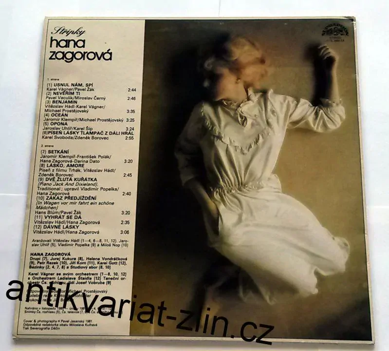 LP HANA ZAGOROVÁ - STŘÍPKY