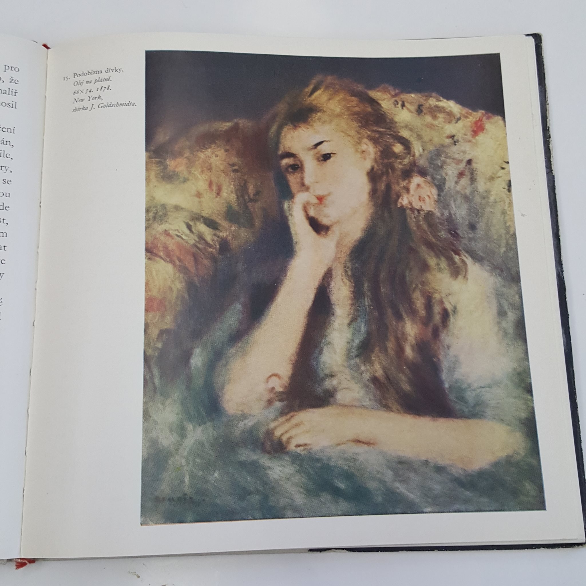 JAROMÍR NEUMANN - AUGUSTE RENOIR