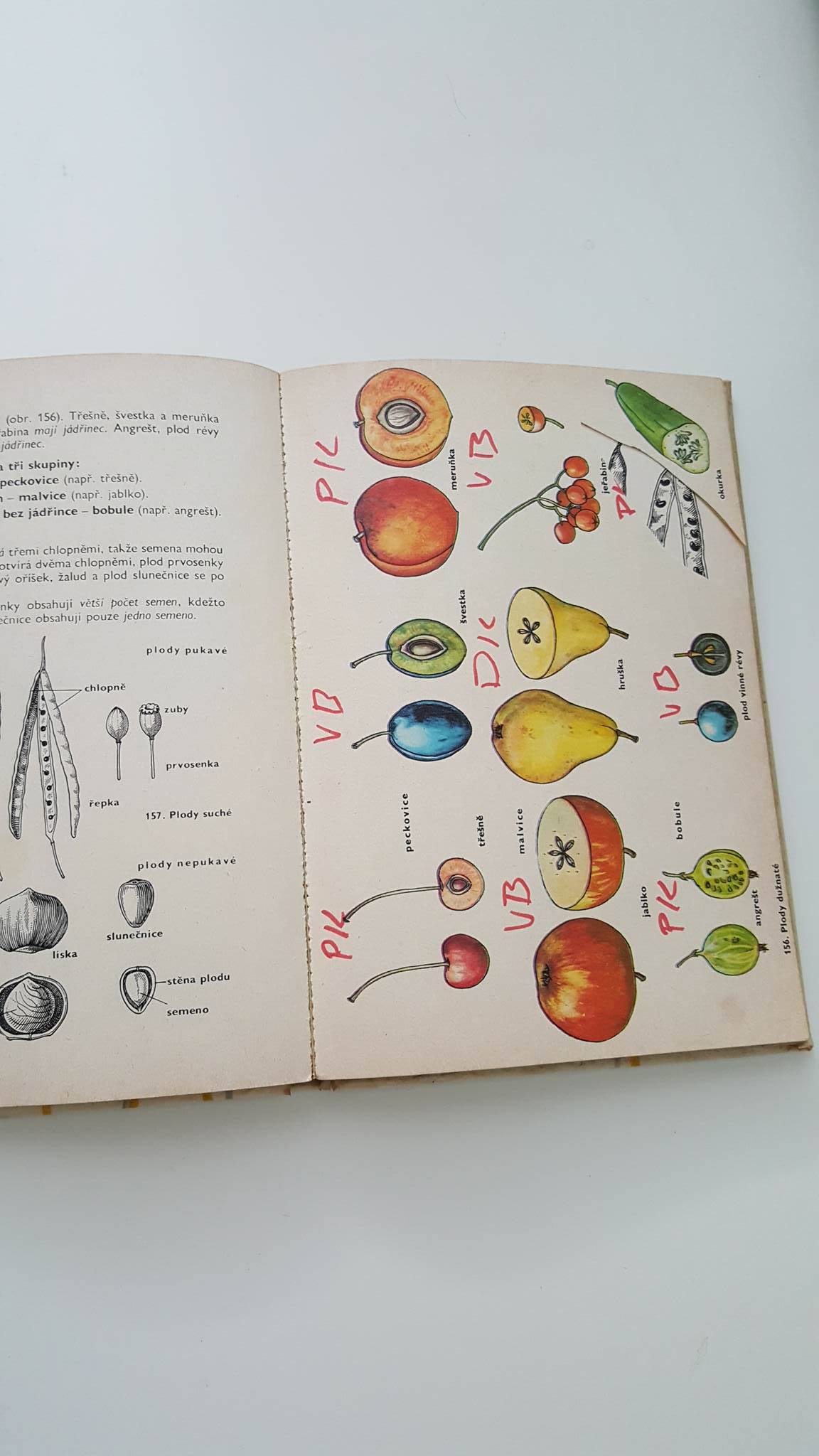 BOTANIKA  pro první třídu středních škol