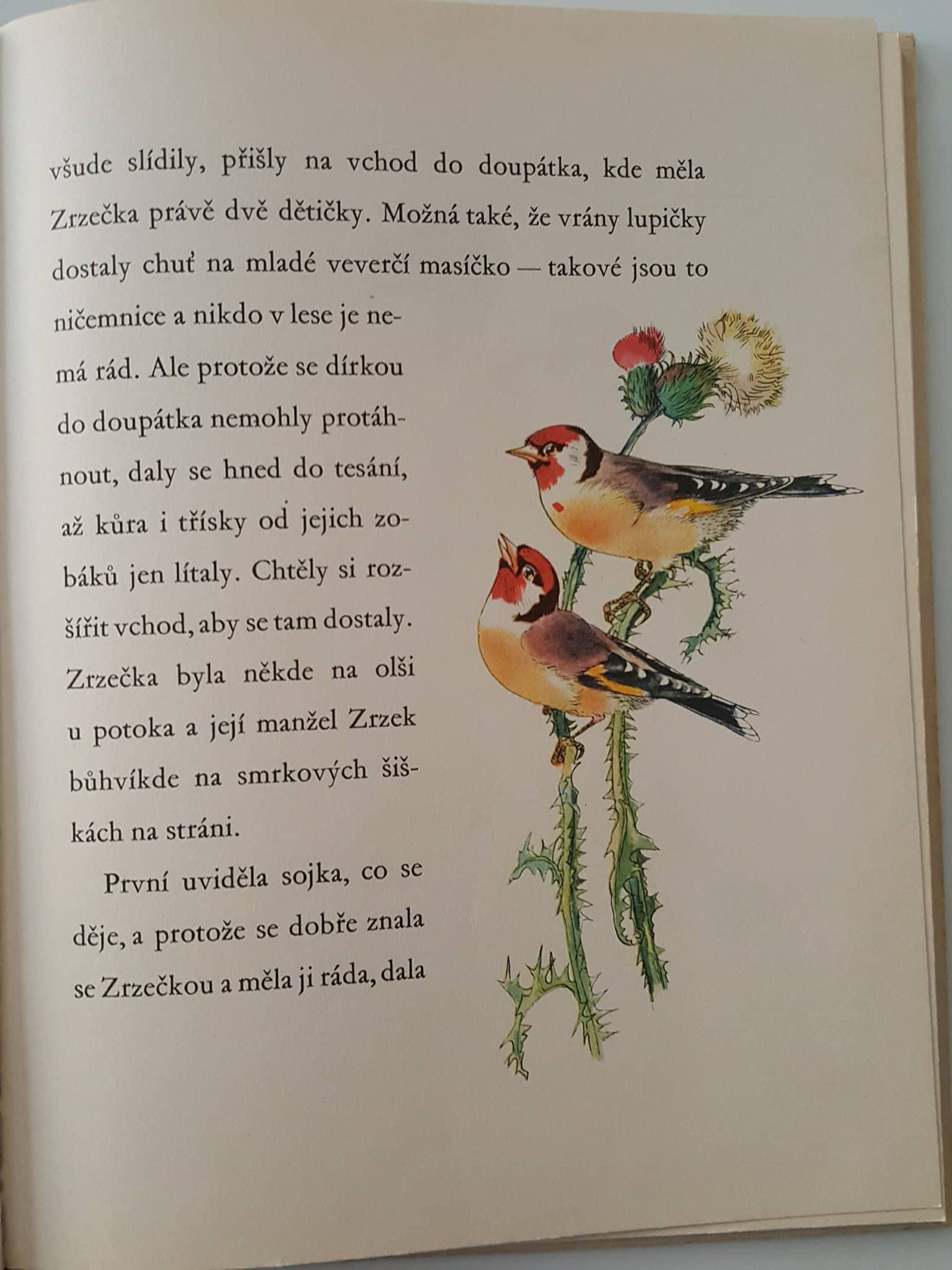 JOSEF ZEMAN - DOBRODRUŽSTVÍ VEVERKY ZRZEČKY
