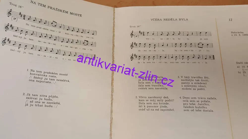 JIŘÍ PAJER - MARIE PROCHÁZKOVÁ (1886-1986)