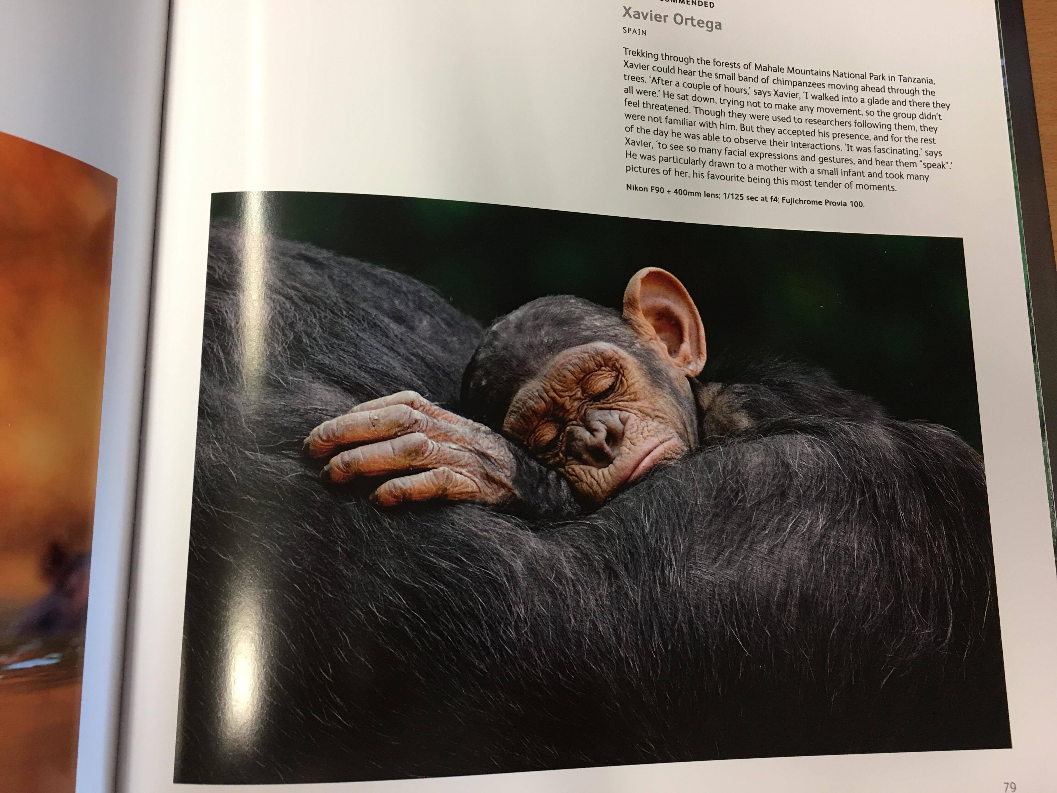 WILDLIFE PHOTOGRAPHER OF THE YEAR