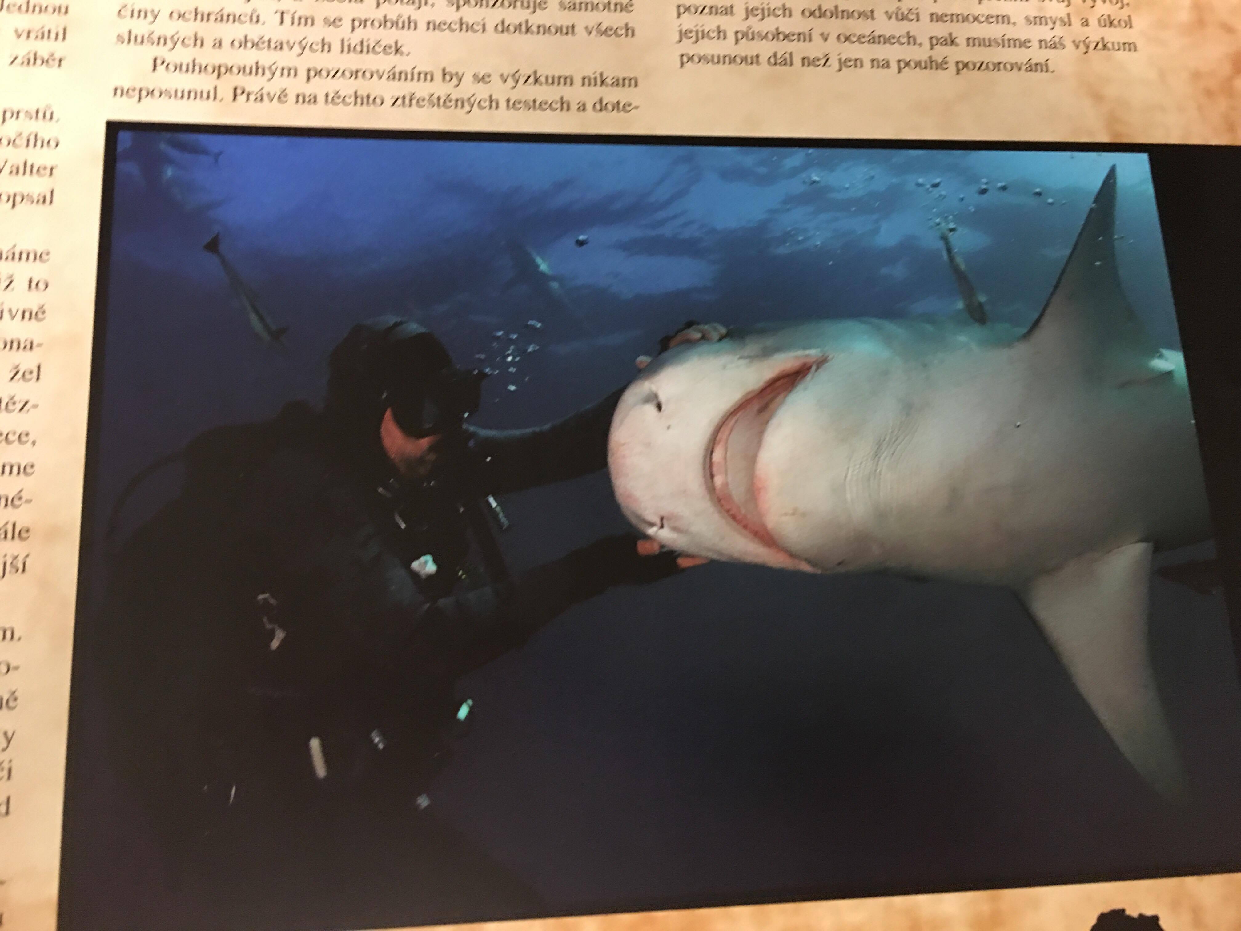 RICHARD JARONĚK - ČELISTI AFRIKY