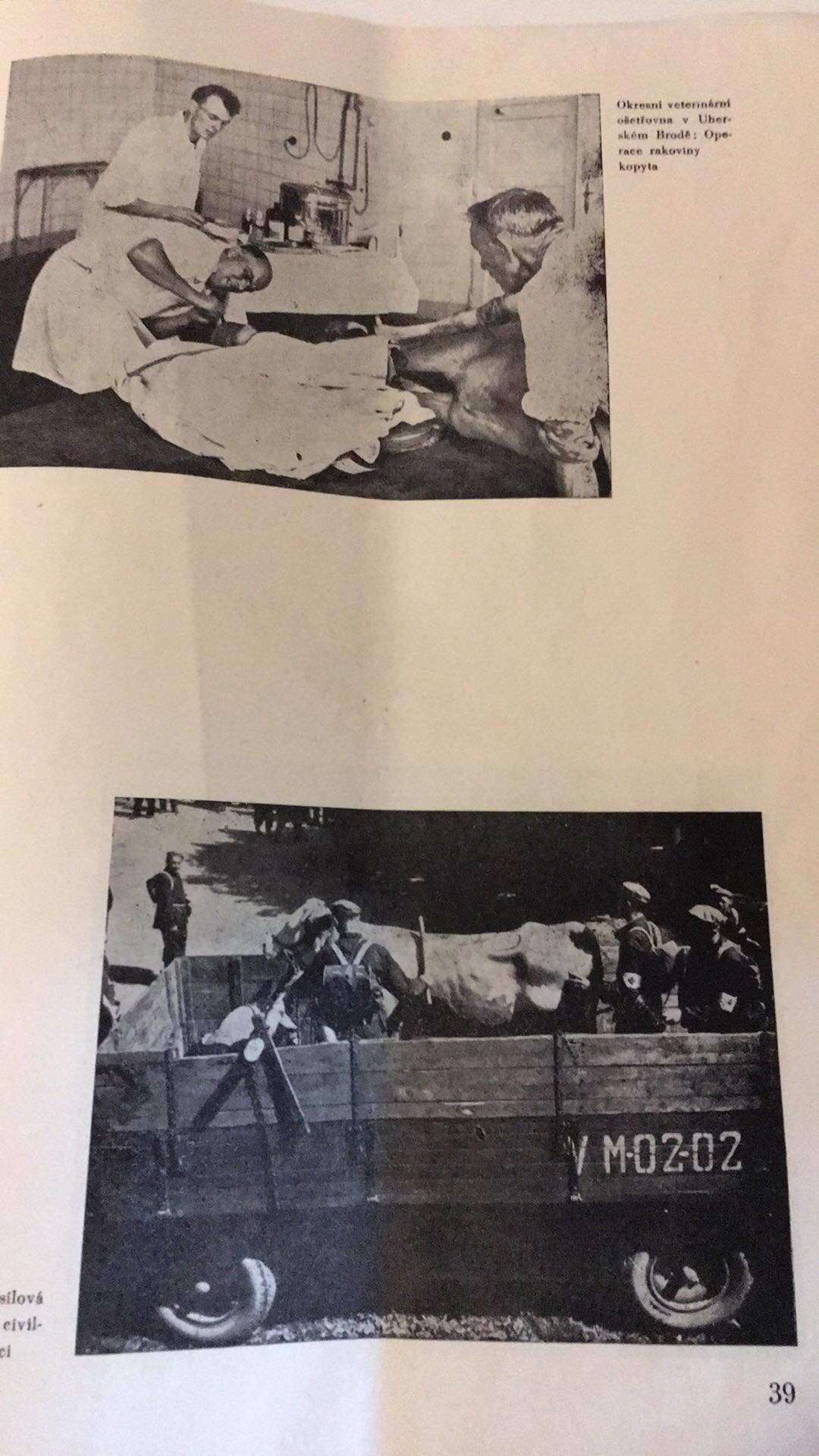 OLDŘICH POTOCKÝ - Ochrana zdraví zvířat a veterinární léčebná péče v Gottwaldovském kraji