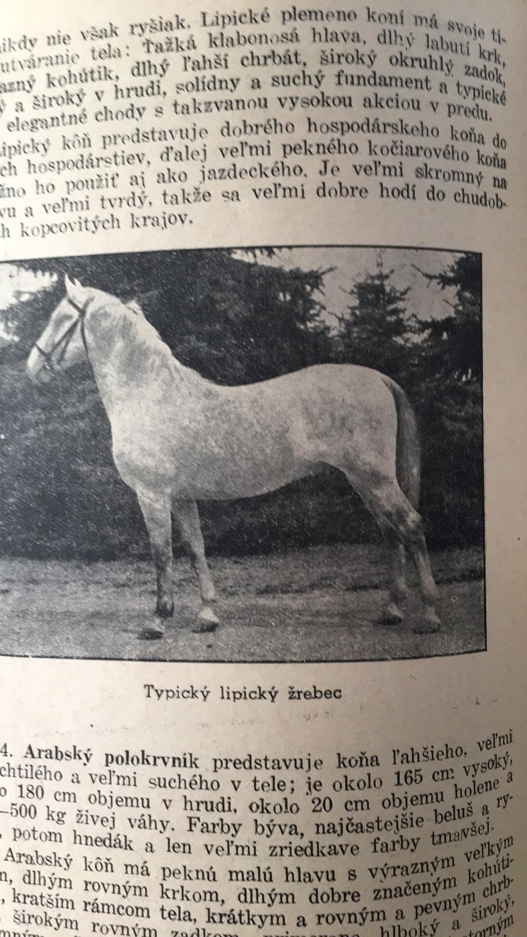 Dobytčie pasy a popis domácich zvierat