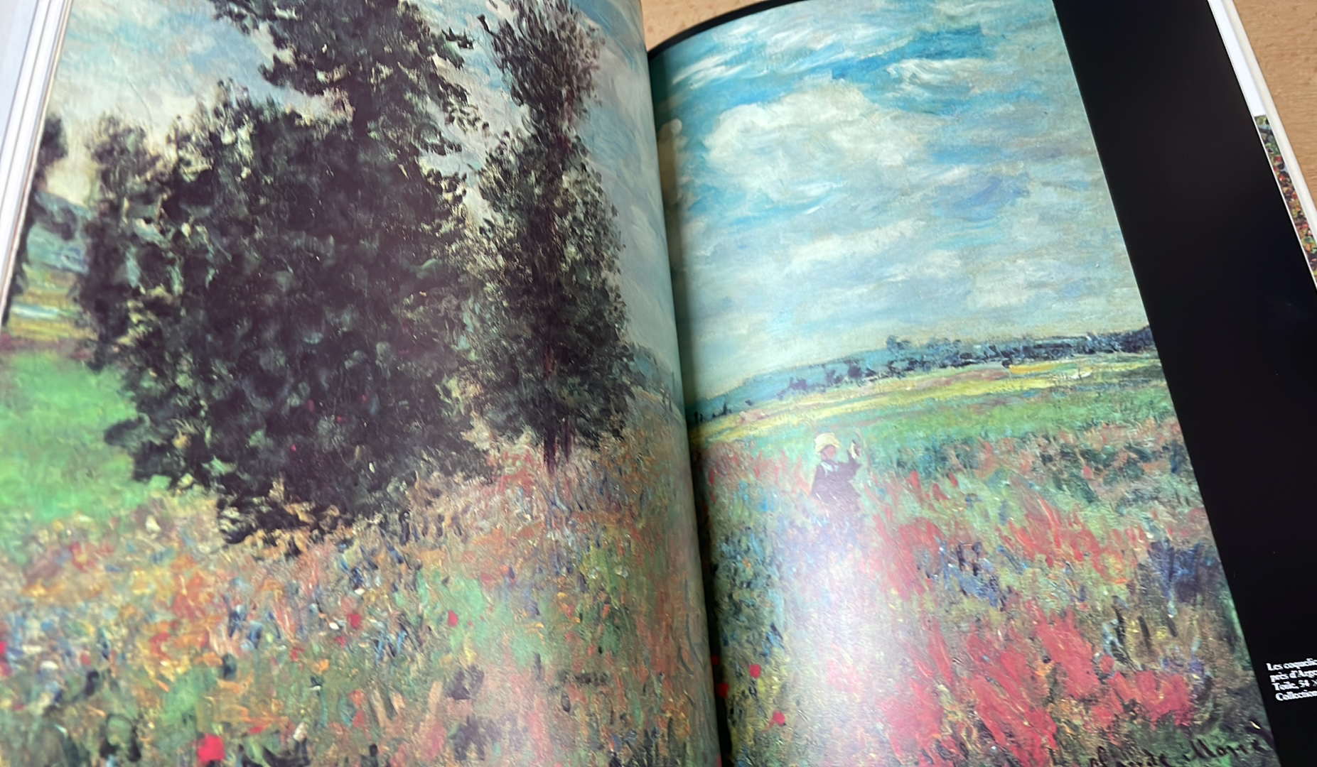 Daniel Wildenstein - Claude Monet 