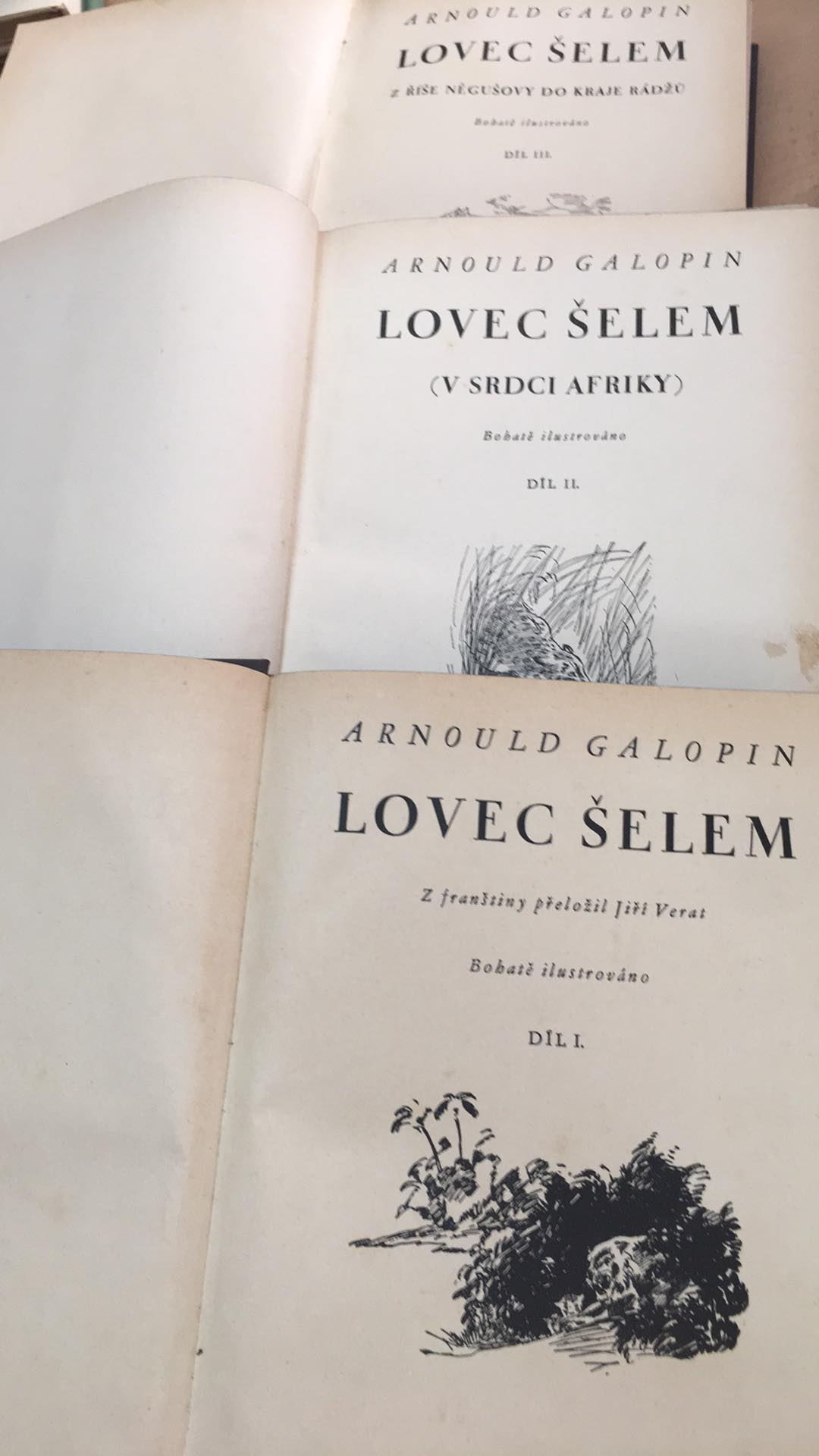 KHALED HOSSEINI - LOVEC DRAKŮ