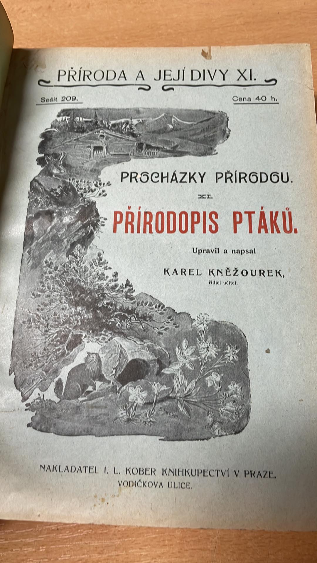 Karel Kněžourek - Velký atlas ptáků