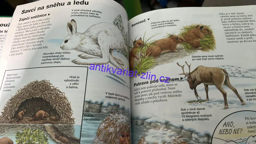 TAJEMSTVÍ ZÁHADY REKORDY V PŘÍRODĚ