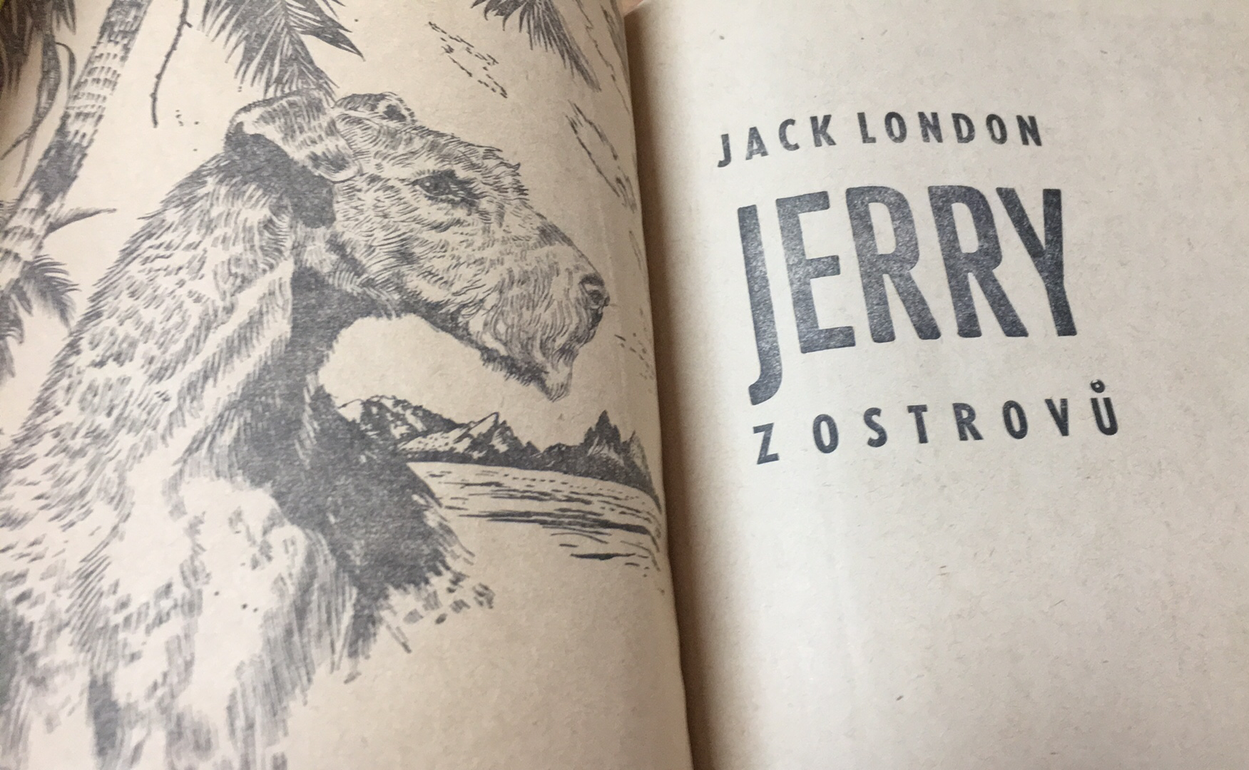 Jack London - Jerry u ostrovů