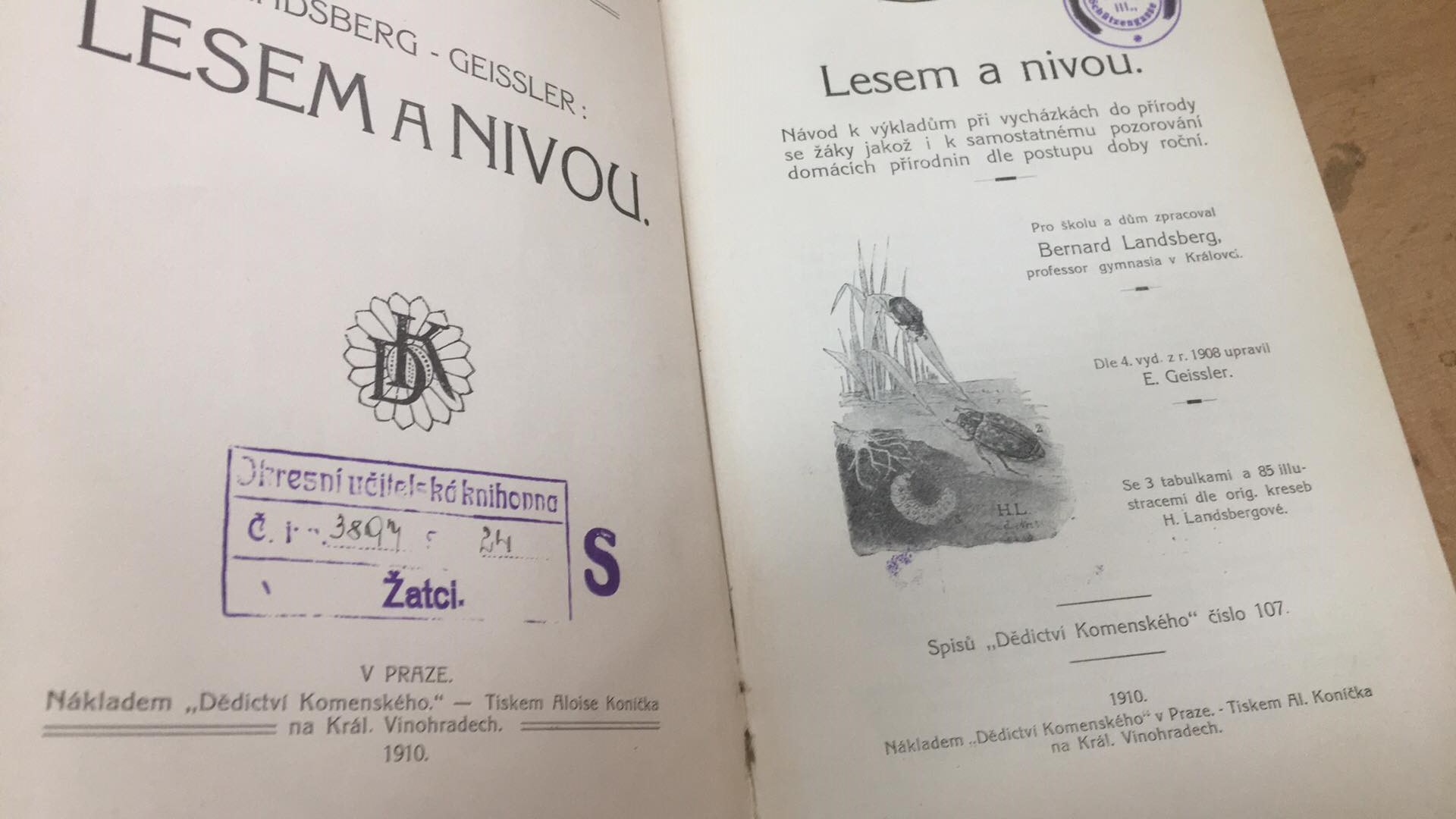 LANDSBERG - GEISSLER LESEM A NIVOU