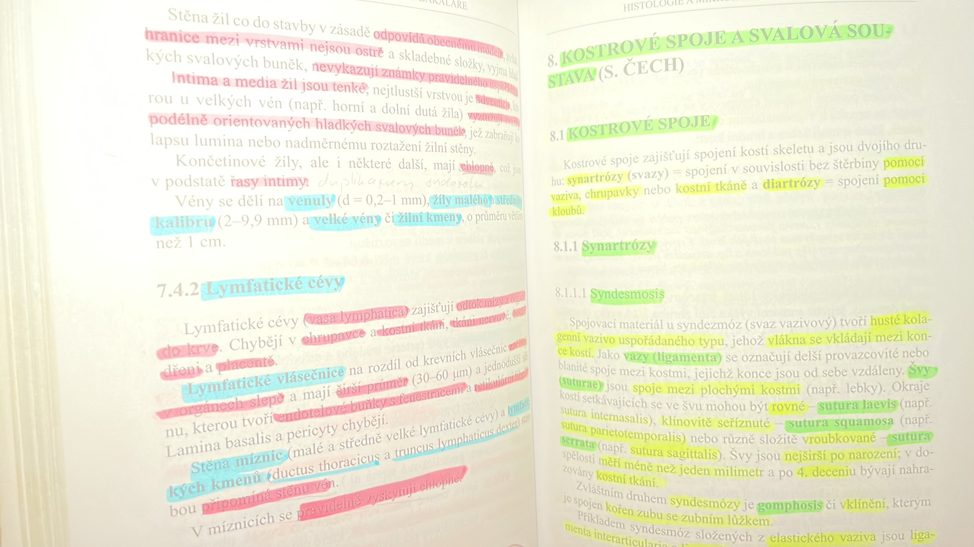 HISTOLOGIE A MIKROSKOPICKÁ ANATOMIE PRO BAKALÁŘE